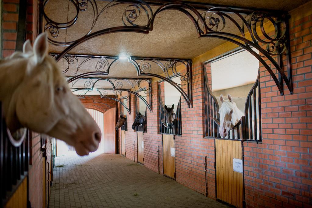Zolota Gora Hotel-Rancho Oezjhorod Buitenkant foto