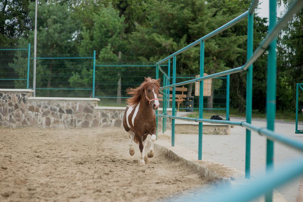 Zolota Gora Hotel-Rancho Oezjhorod Buitenkant foto